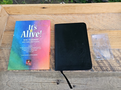 Original 1996 nlt alive - nlt,